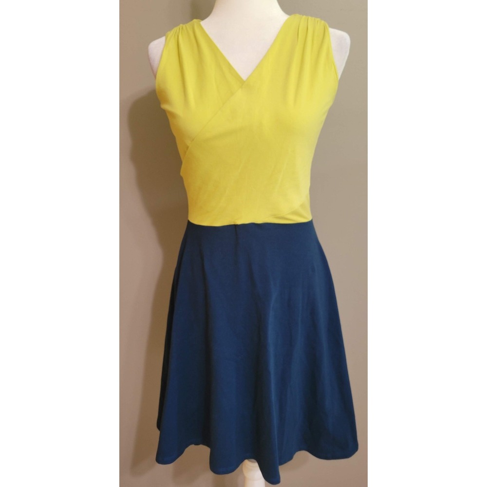 Maggie's Organics Colorblock Skater Dress